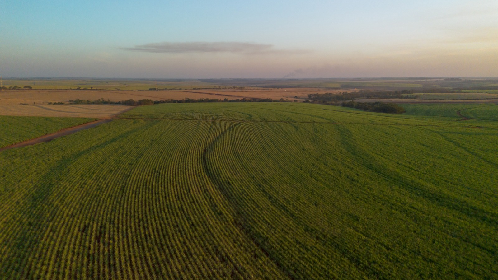 Tereos recebe certificação Regenagri e se torna a segunda empresa do setor sucroenergético a ser reconhecida por práticas de agricultura regenerativa