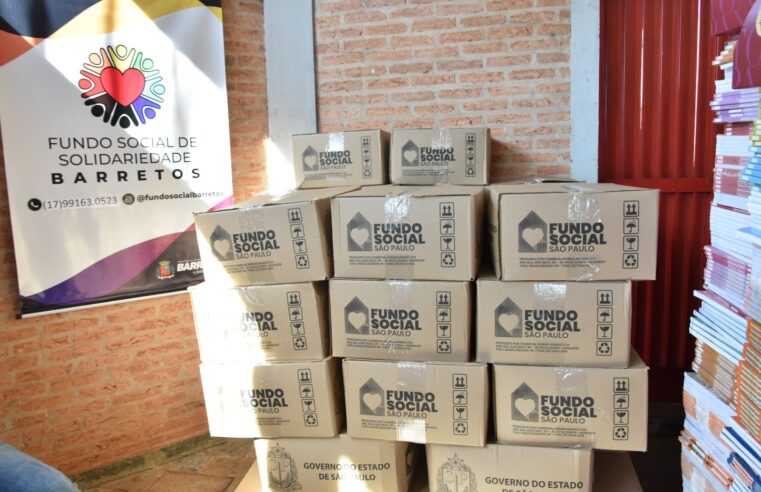 Fundo Social de Solidariedade entrega 100 cestas básicas