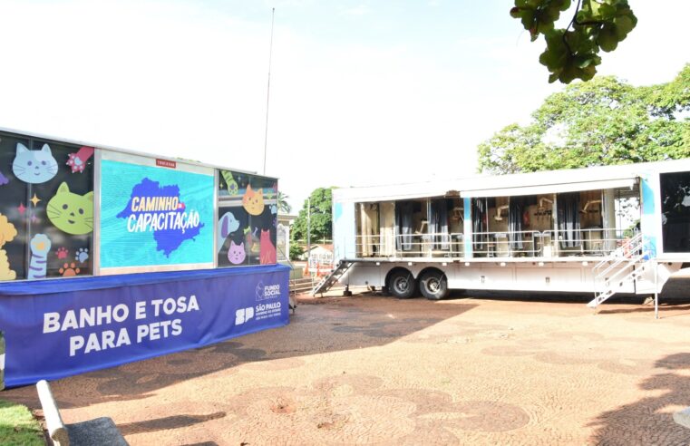 Programa Caminho da Capacitação inicia cursos de Soldagem e Banho e Tosa para Pets