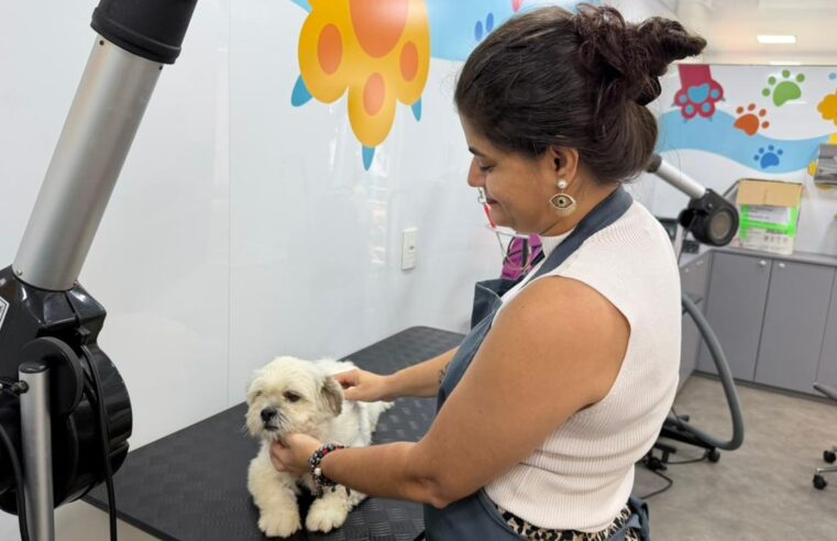 Programa Caminho da Capacitação inicia aulas práticas dos cursos de Soldagem e Banho e Tosa para Pets