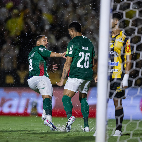 Palmeiras ganha novamente do Novorizontino e conquista 27º título do Paulistão