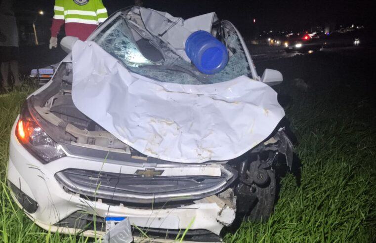 Acidente na Faria Lima e deixa condutor ferido após colisão com animais na pista