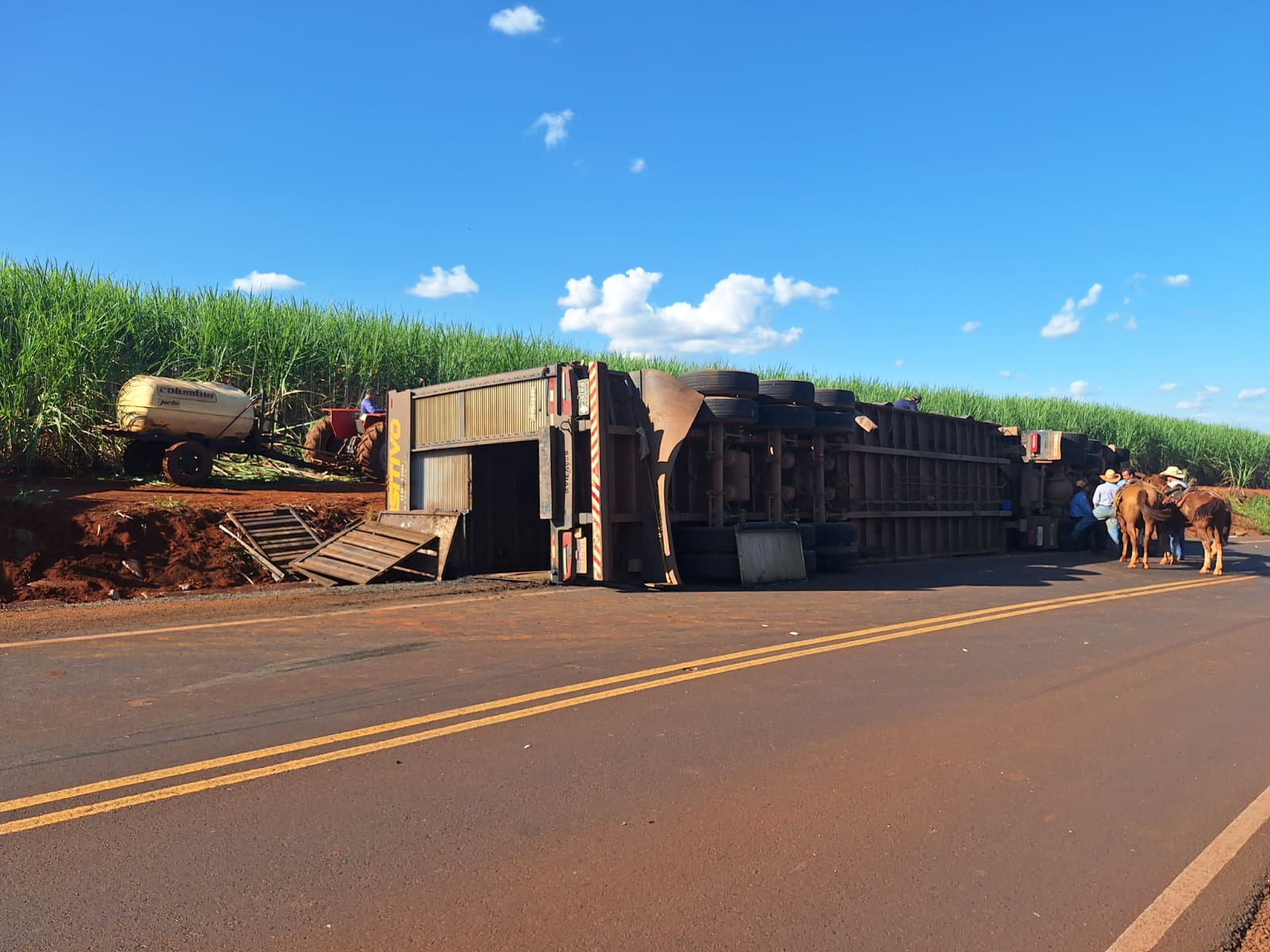 Carreta com 50 cabeças de gado tomba na vicinal Barretos-Jaborandi
