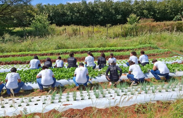 Alunos do IFSP Campus Barretos desenvolvem atividades práticas e iniciam colheita na unidade agrícola