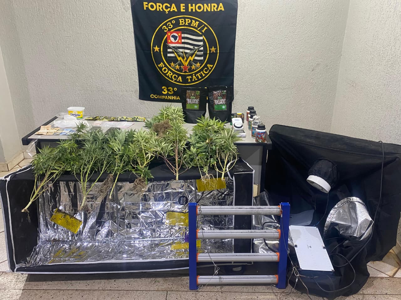 PM prende homem por tráfico de drogas em Olímpia e apreende pés de maconha e cocaína