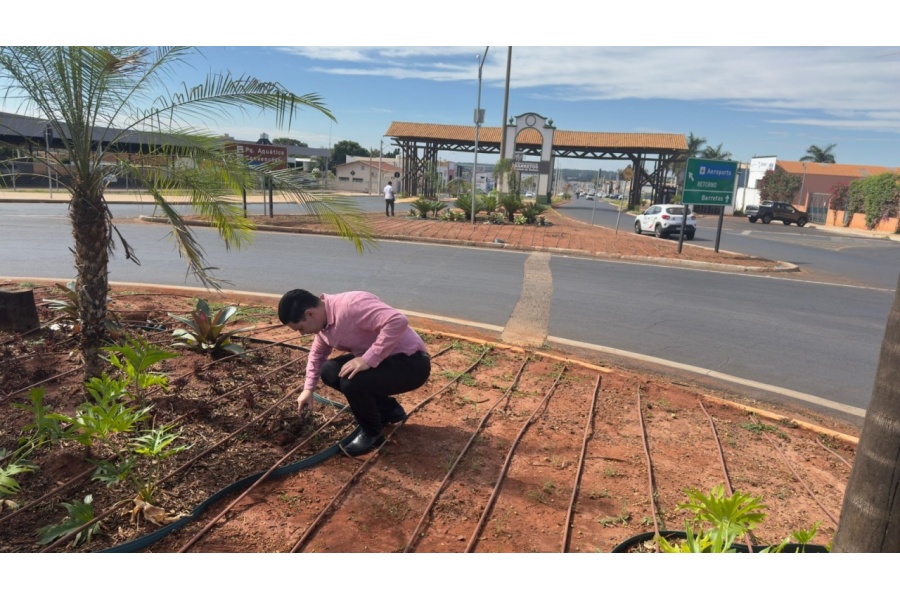 Prefeitura registra ocorrência após furto de plantas ornamentais em rotatória da Avenida Necker