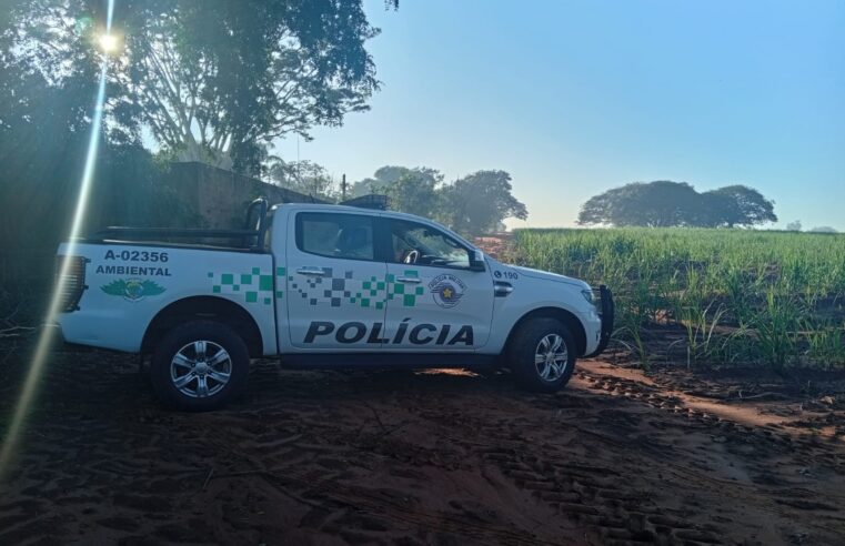 Operação São Paulo Sem Fogo amplia ações de combate a incêndios em SP com monitoramento via satélite