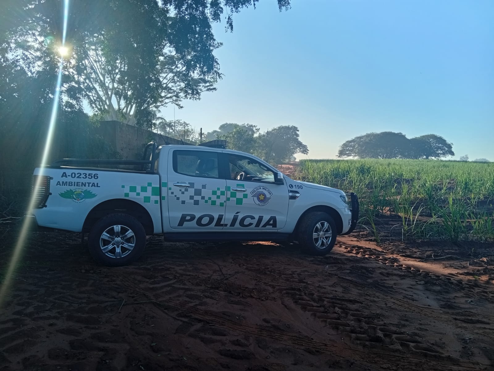 Operação São Paulo Sem Fogo amplia ações de combate a incêndios em SP com monitoramento via satélite