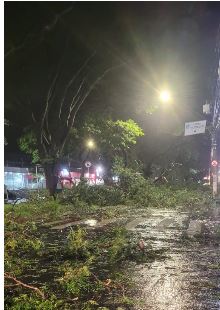 Temporal registrado na madrugada provoca estragos em Ribeirão Preto